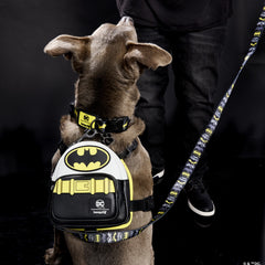 dc comics batman™ 85th anniversary leash