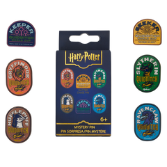 harry potter exclusive quidditch mystery box pin