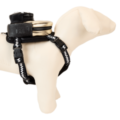 peanuts 75th anniversary snoopy & gang dog harness